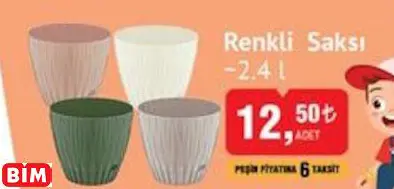 RENKLİ  SAKSI ~2.4 L